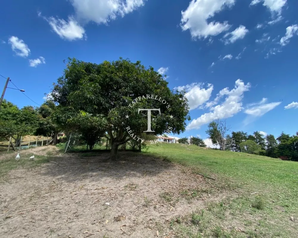 Fazenda à venda com 4 quartos, 600m² - Foto 11