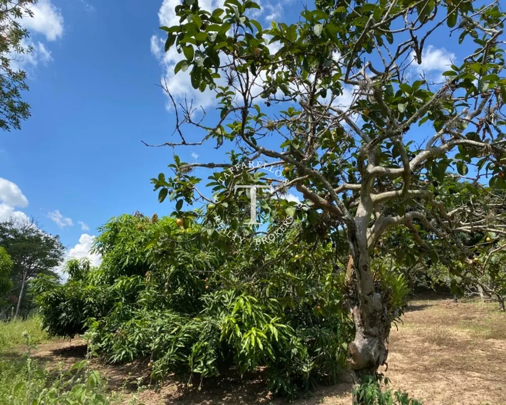 Fazenda à venda com 4 quartos, 600m² - Foto 13