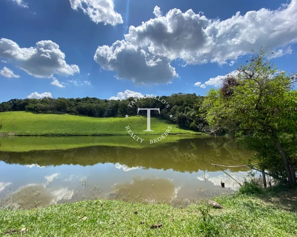 Fazenda à venda com 4 quartos, 600m² - Foto 4