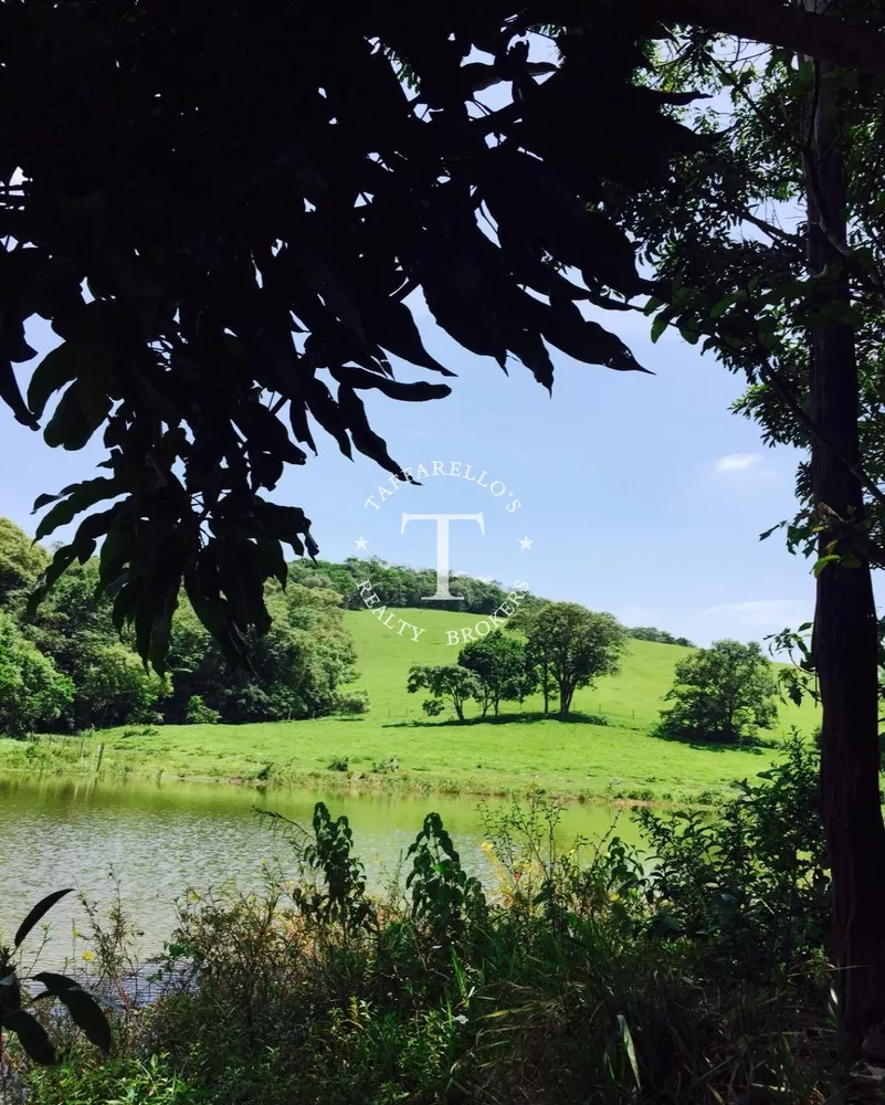 Sítio, 4 quartos, 42 hectares - Foto 22