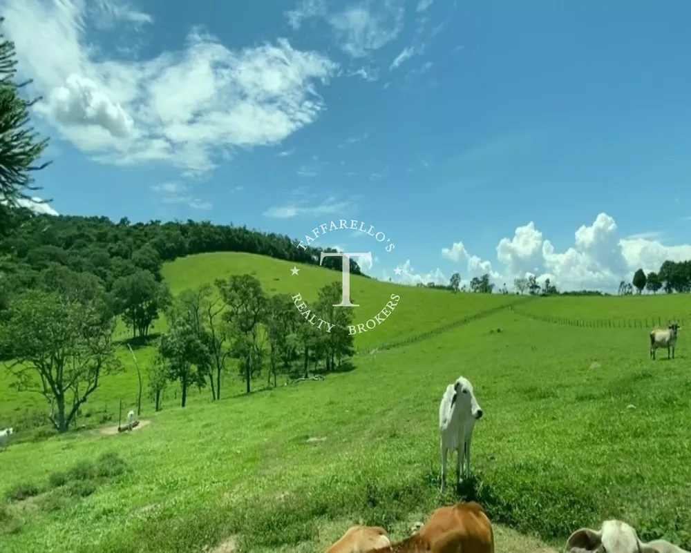 Sítio, 4 quartos, 42 hectares - Foto 21