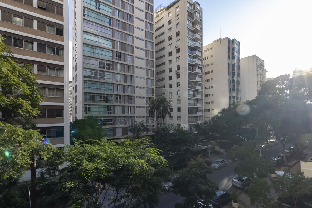 Apartamento, 3 quartos, 231 m² - Foto 7