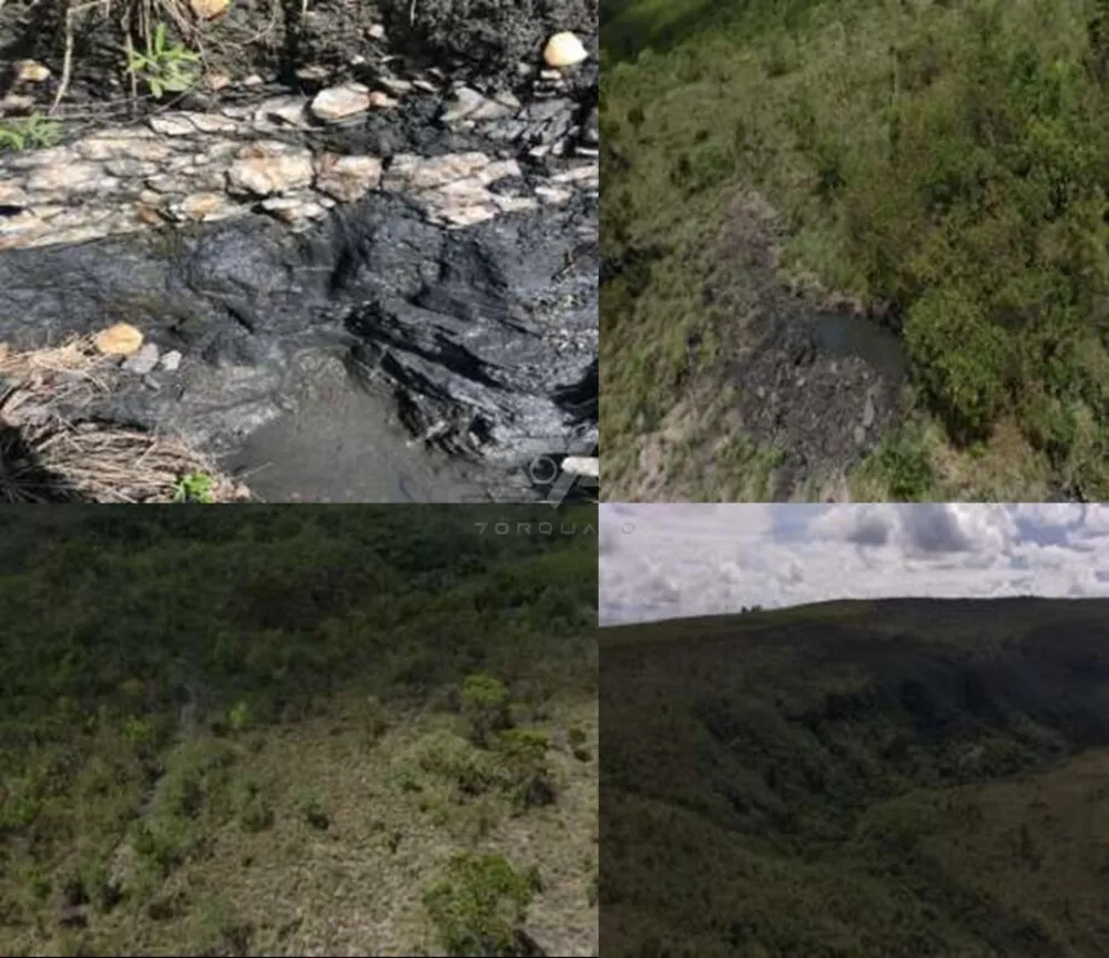 Fazenda, 501 hectares - Foto 14