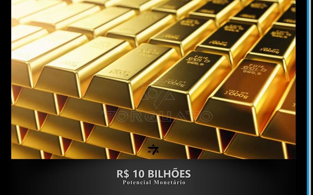 Fazenda, 501 hectares - Foto 7