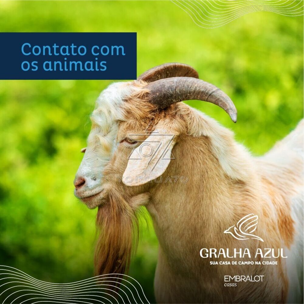 Terreno à venda, 600m² - Foto 4