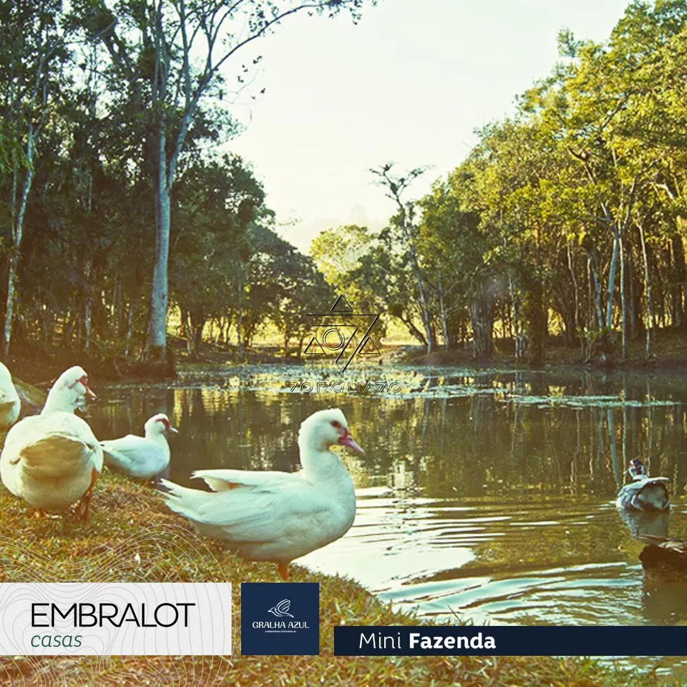 Terreno, 600 m² - Foto 4