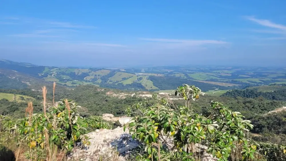 Terreno, 8 hectares - Foto 8