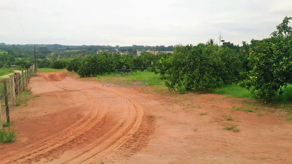 Terreno, 7 hectares - Foto 11