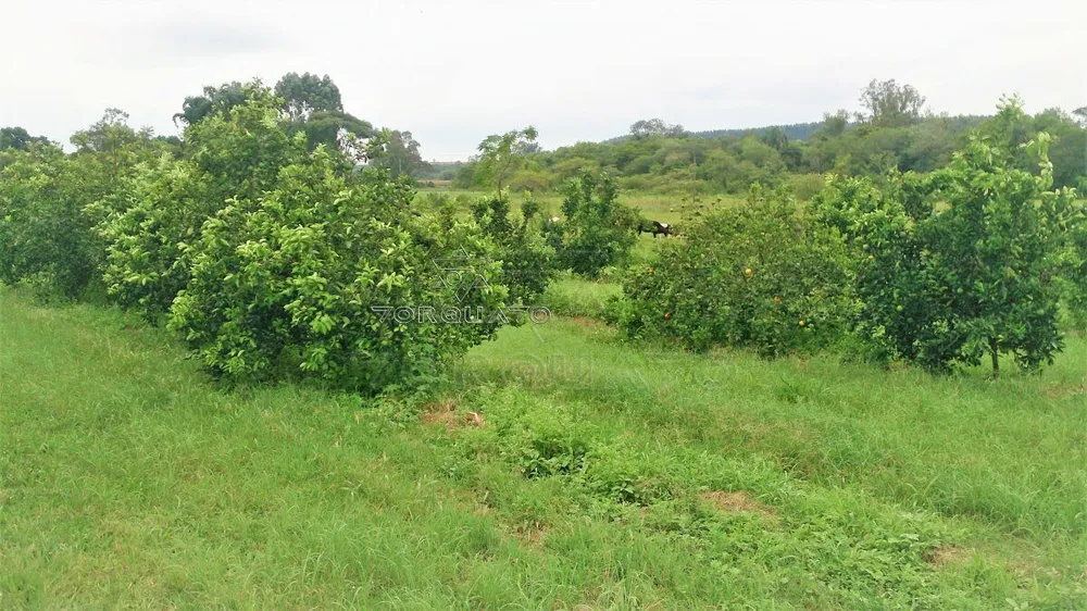 Terreno, 7 hectares - Foto 16