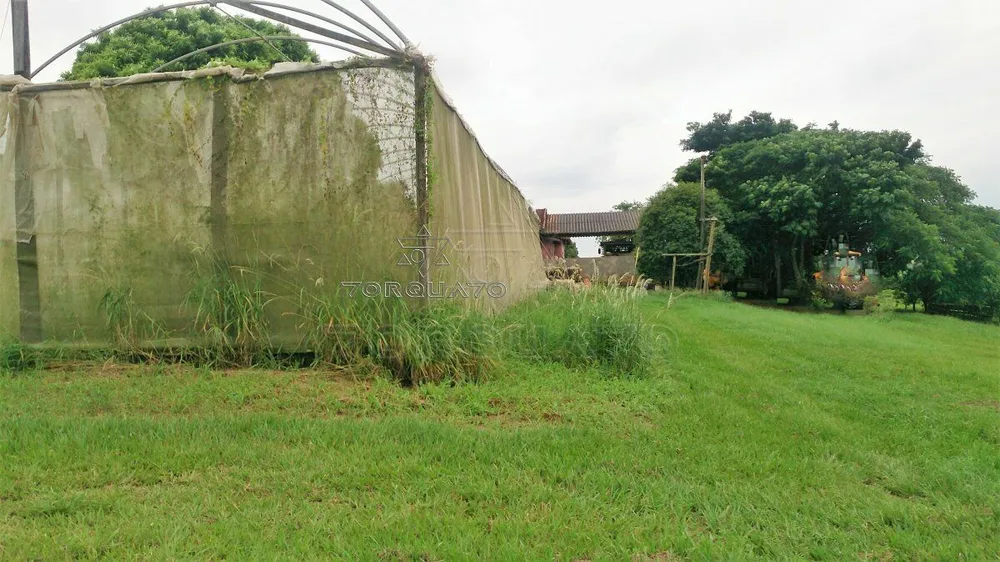 Terreno, 7 hectares - Foto 14