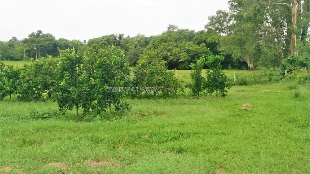 Terreno, 7 hectares - Foto 7