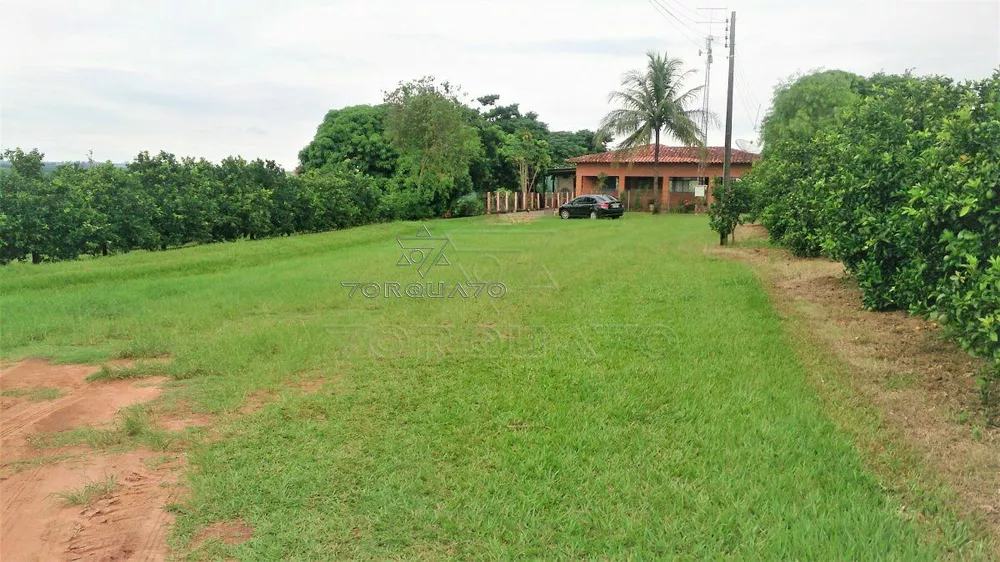 Terreno, 7 hectares - Foto 4