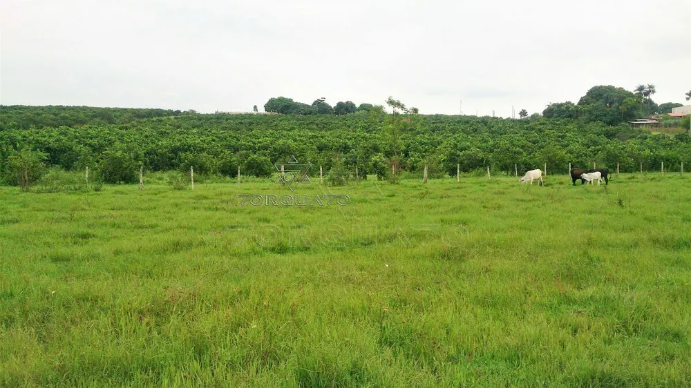 Terreno, 7 hectares - Foto 9