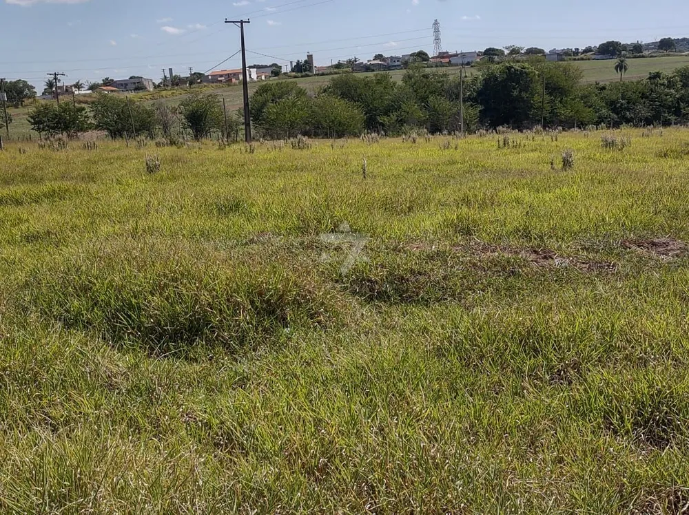 Terreno, 2 hectares - Foto 17