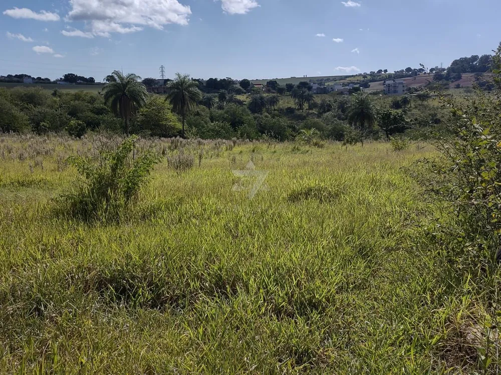Terreno, 2 hectares - Foto 13