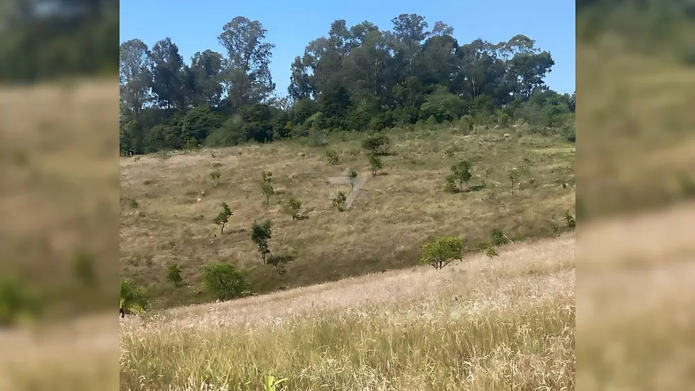 Terreno, 100 hectares - Foto 16