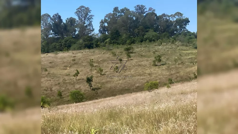 Terreno, 100 hectares - Foto 12
