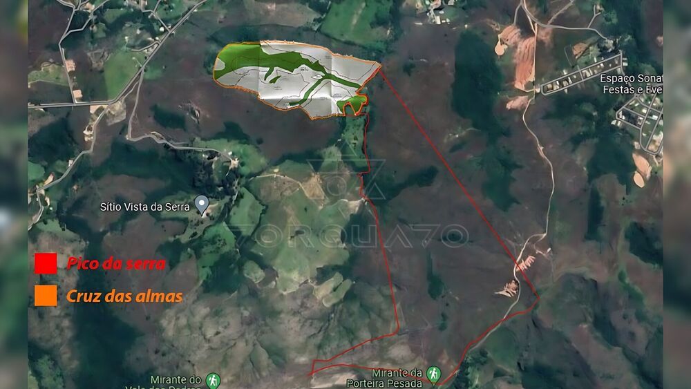 Terreno, 100 hectares - Foto 1