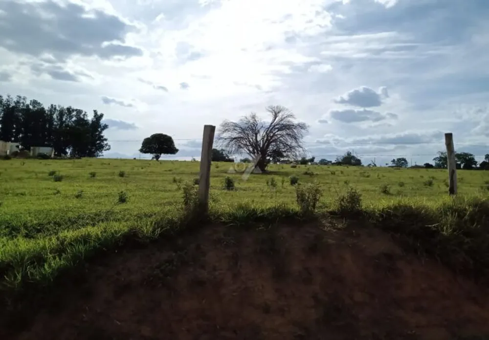Terreno, 12 hectares - Foto 20