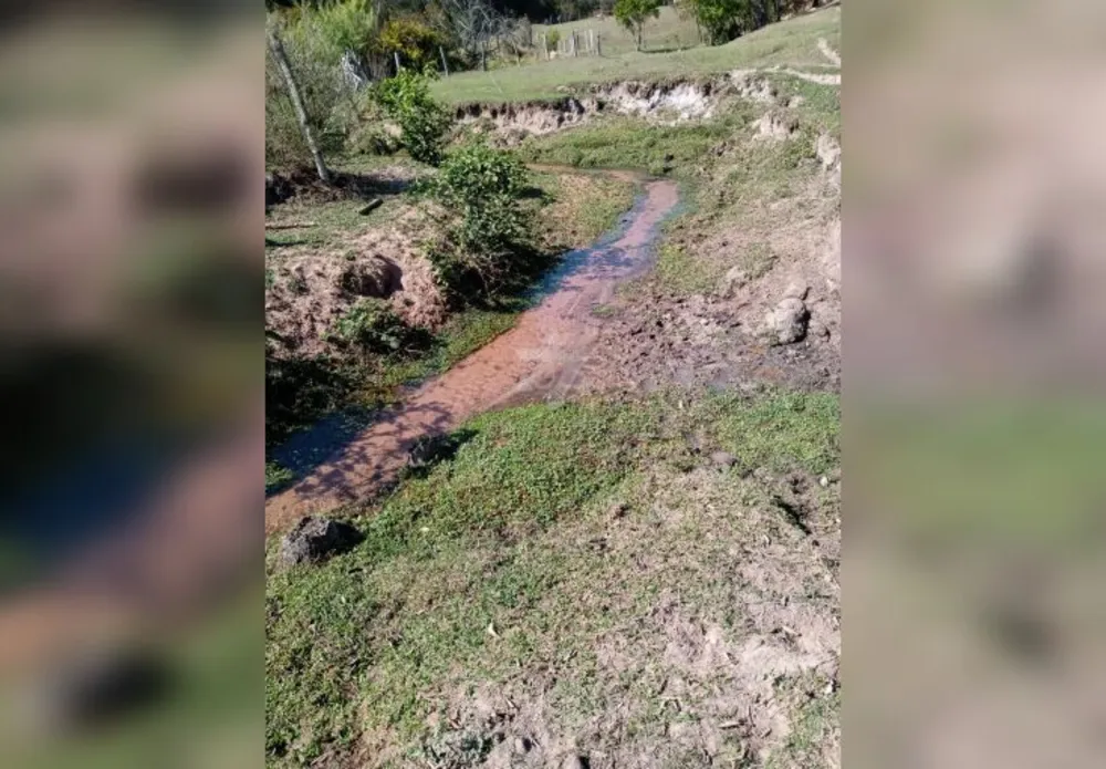 Terreno, 12 hectares - Foto 18