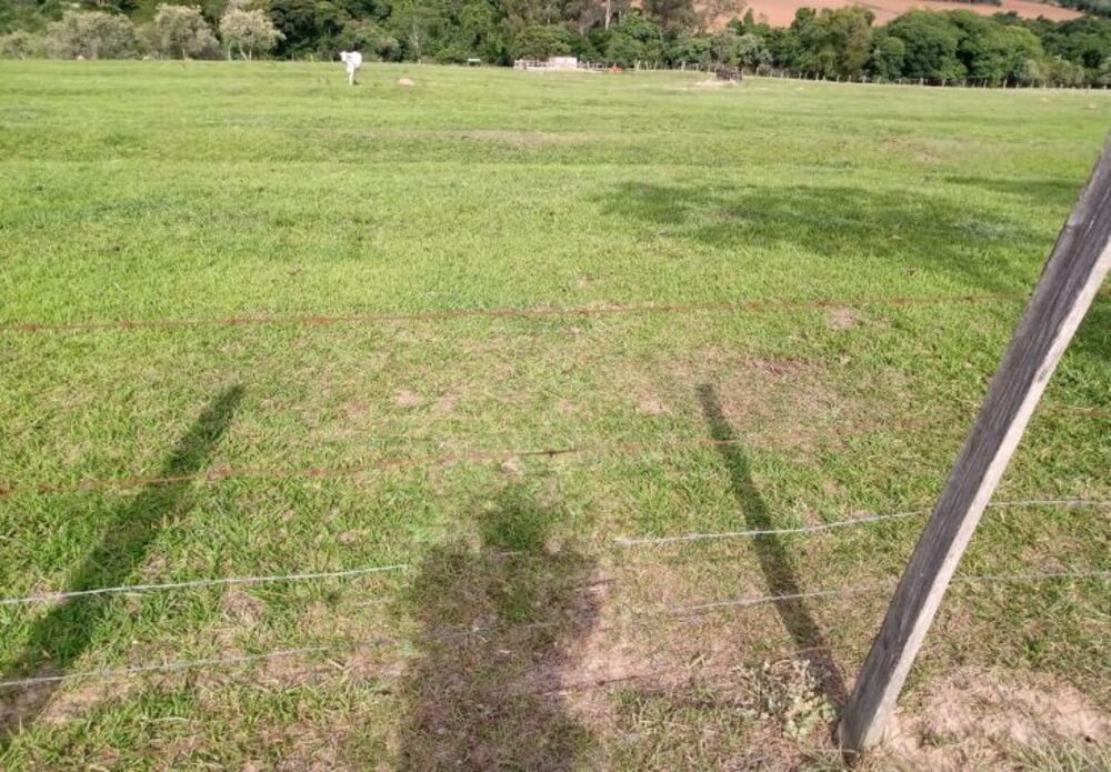 Terreno à venda, 121000m² - Foto 7