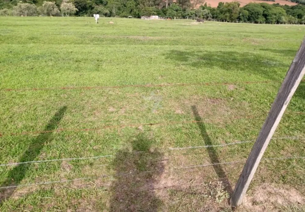 Terreno, 12 hectares - Foto 21