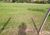 Terreno, 12 hectares - Foto 7