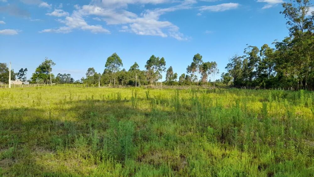 Terreno à venda, 3092m² - Foto 2