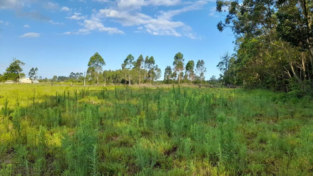 Terreno à venda, 3092m² - Foto 1
