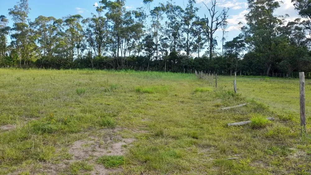 Terreno, 3092 m² - Foto 4