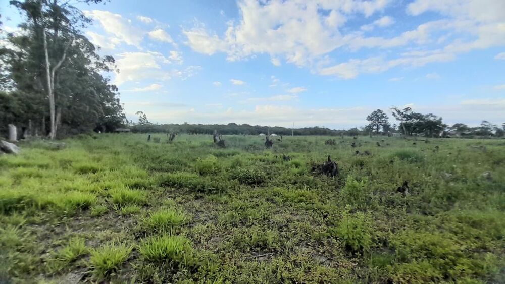 Terreno, 3091 m² - Foto 8