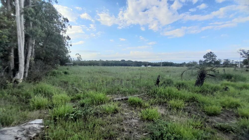 Terreno, 3091 m² - Foto 5