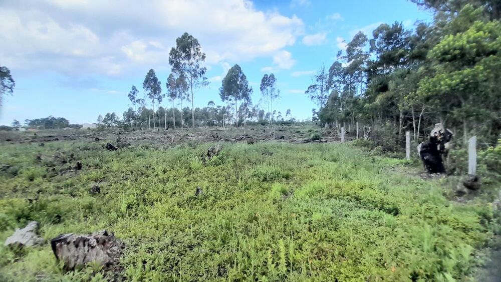 Terreno, 3091 m² - Foto 14