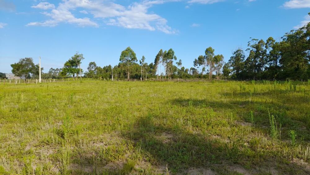 Terreno, 3091 m² - Foto 1