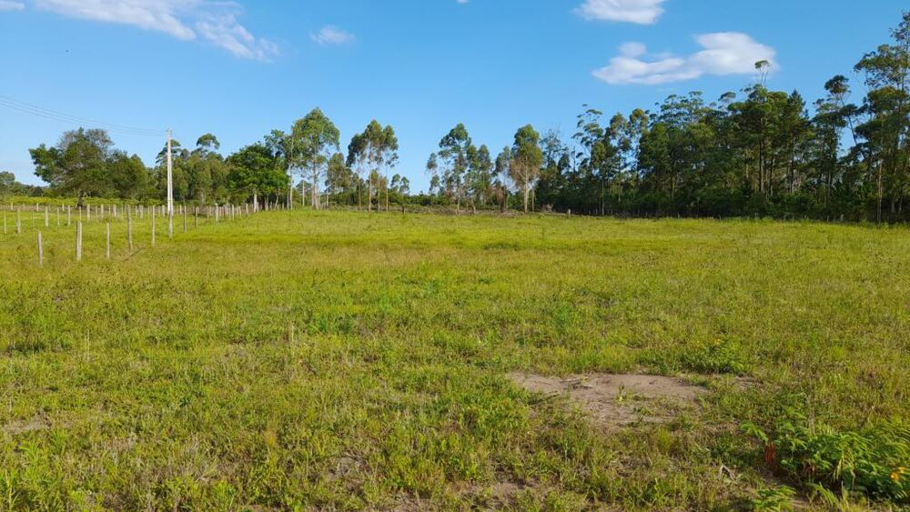 Terreno, 3091 m² - Foto 15