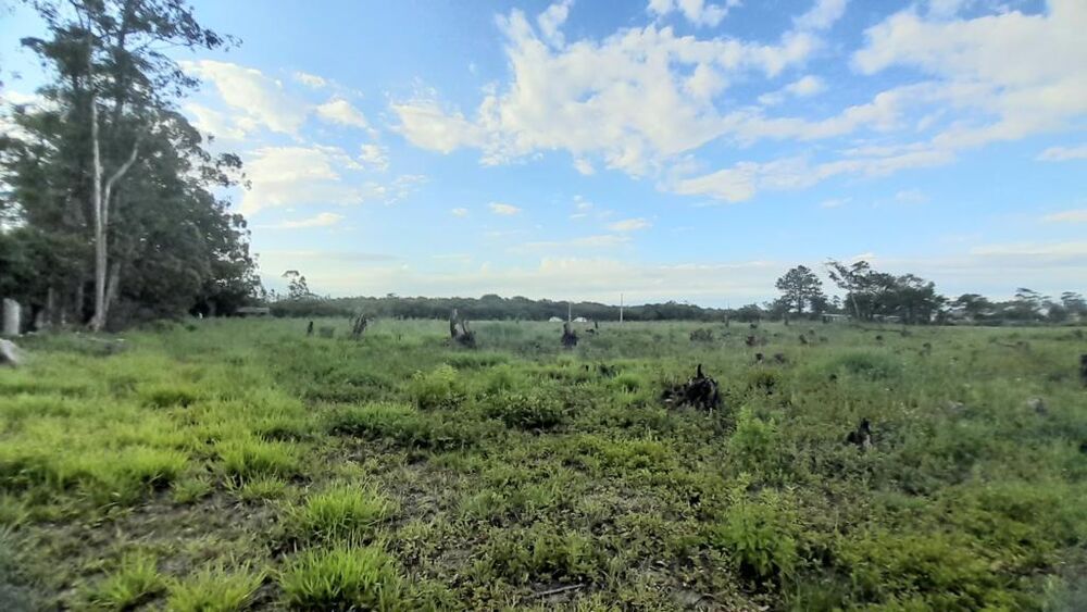 Terreno, 3091 m² - Foto 6