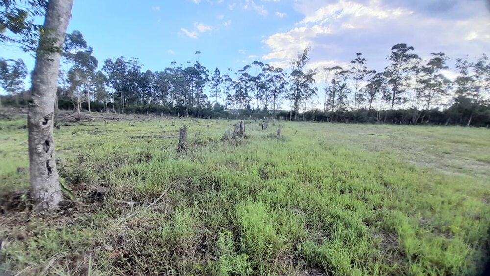 Terreno, 3091 m² - Foto 2