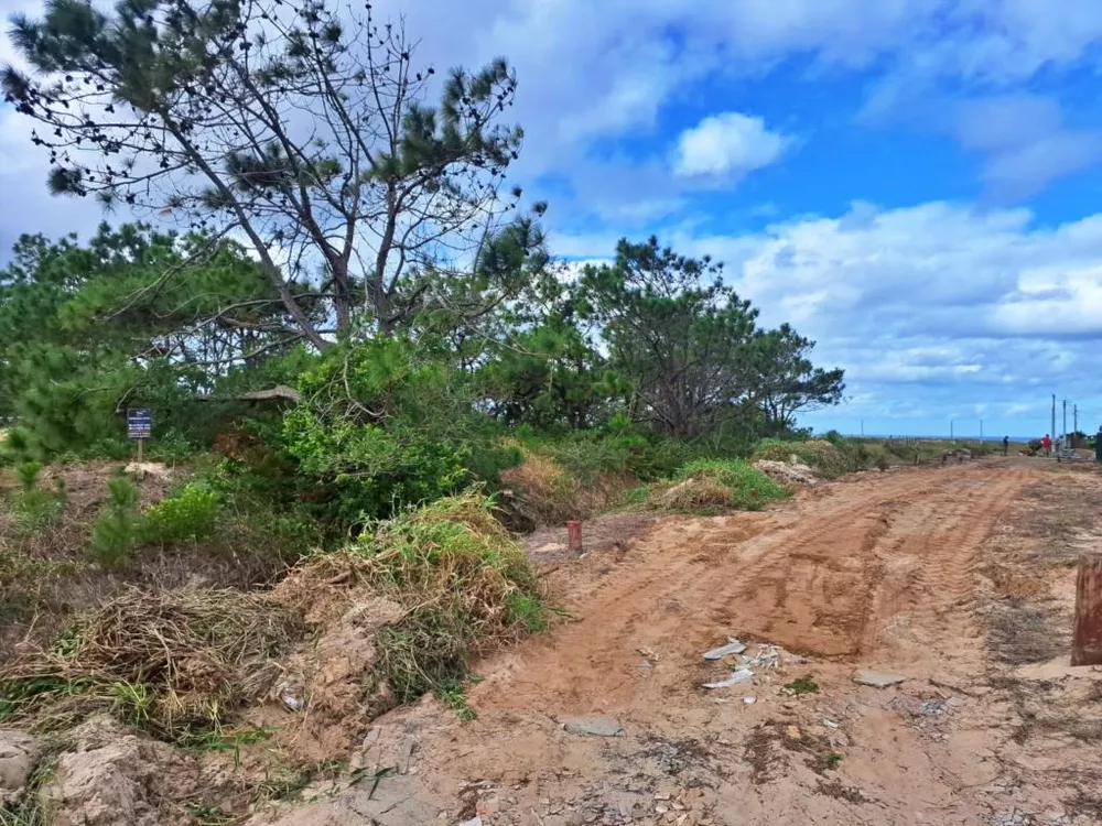 Terreno, 300 m² - Foto 3