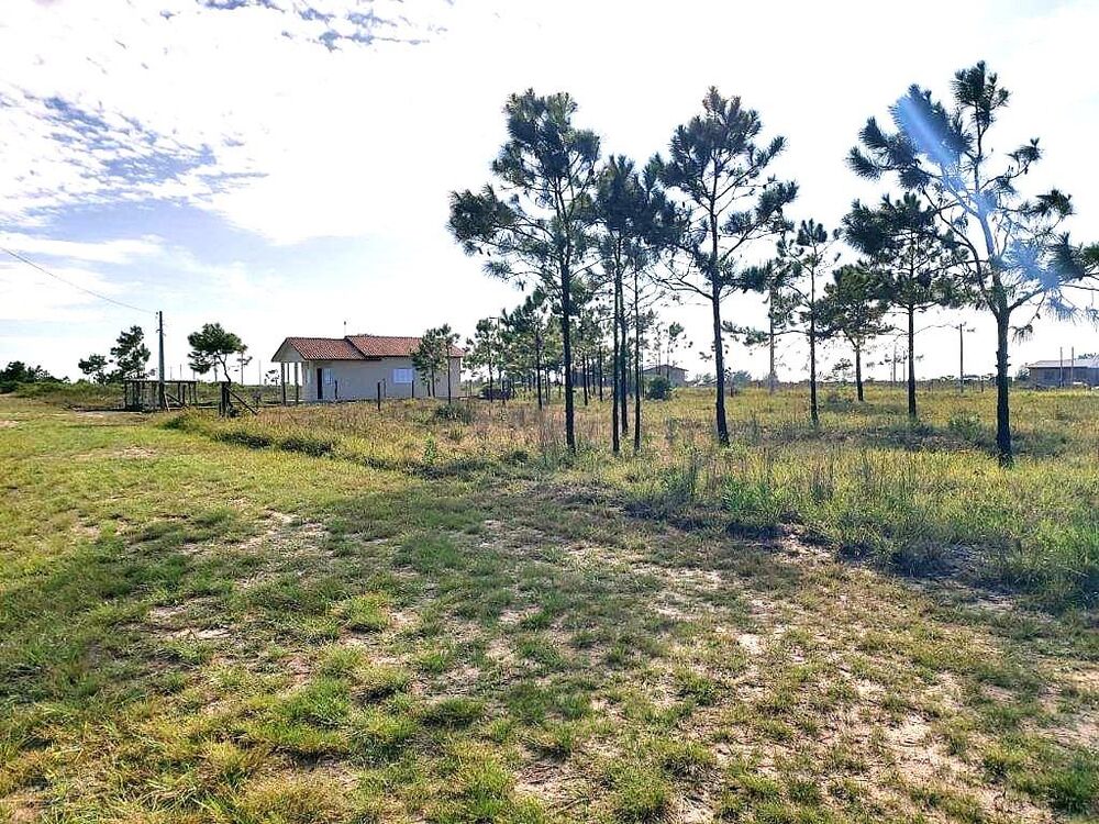 Terreno, 264 m² - Foto 3