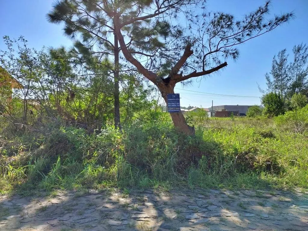 Terreno, 375 m² - Foto 4