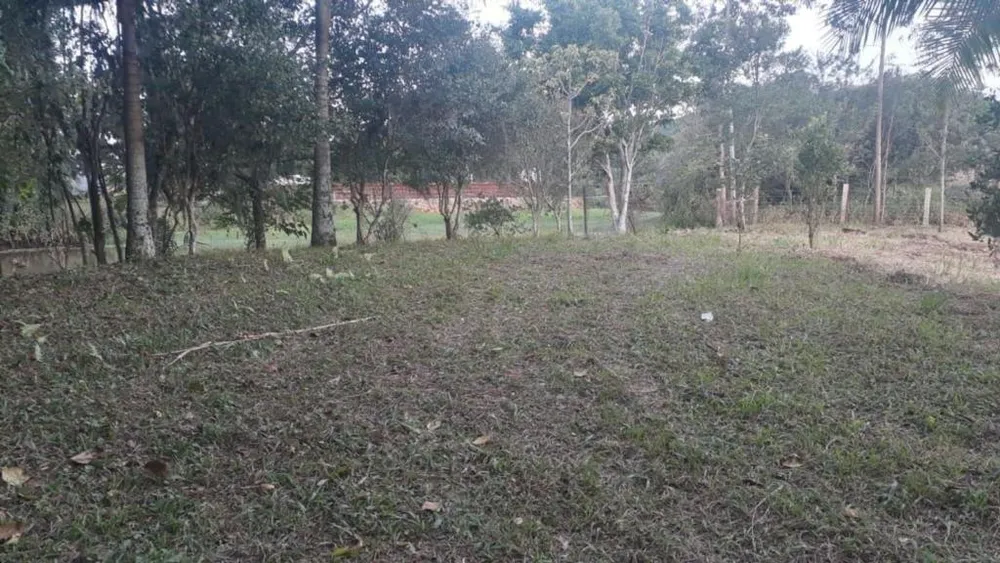 Chácara, 1 quarto, 3950 m² - Foto 5