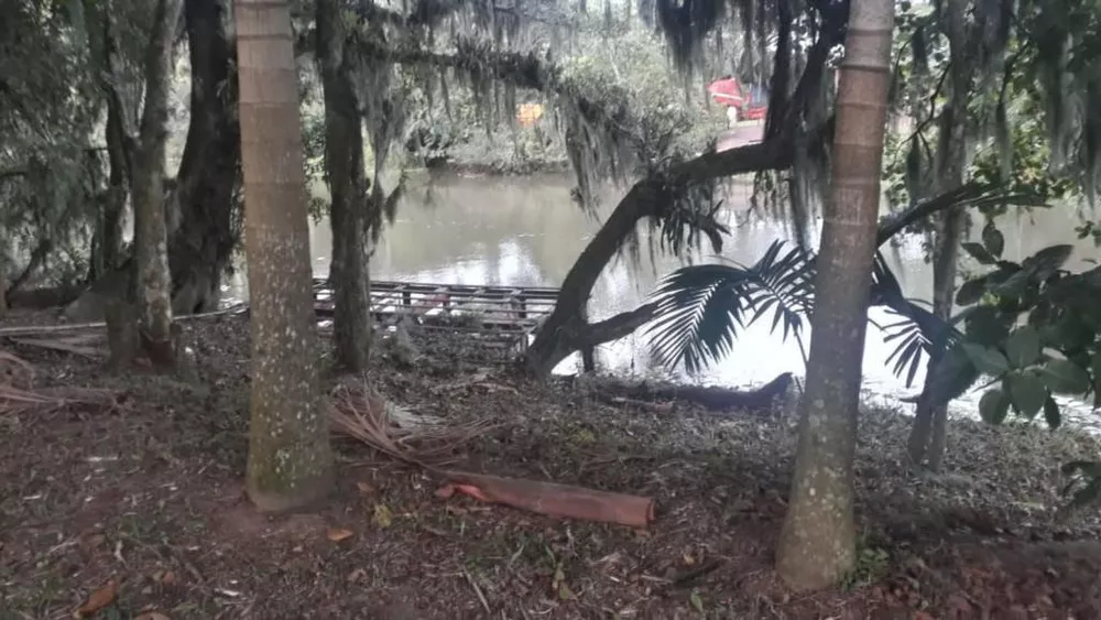 Chácara, 1 quarto, 3950 m² - Foto 6