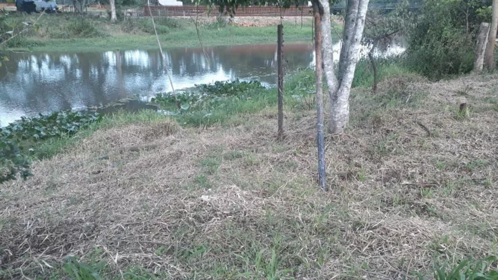 Chácara, 1 quarto, 3950 m² - Foto 5