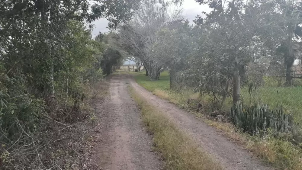 Fazenda à venda com 1 quarto, 70m² - Foto 3