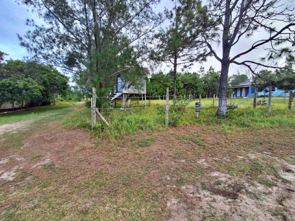 Terreno, 300 m² - Foto 7