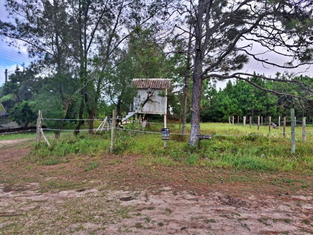 Terreno, 300 m² - Foto 3