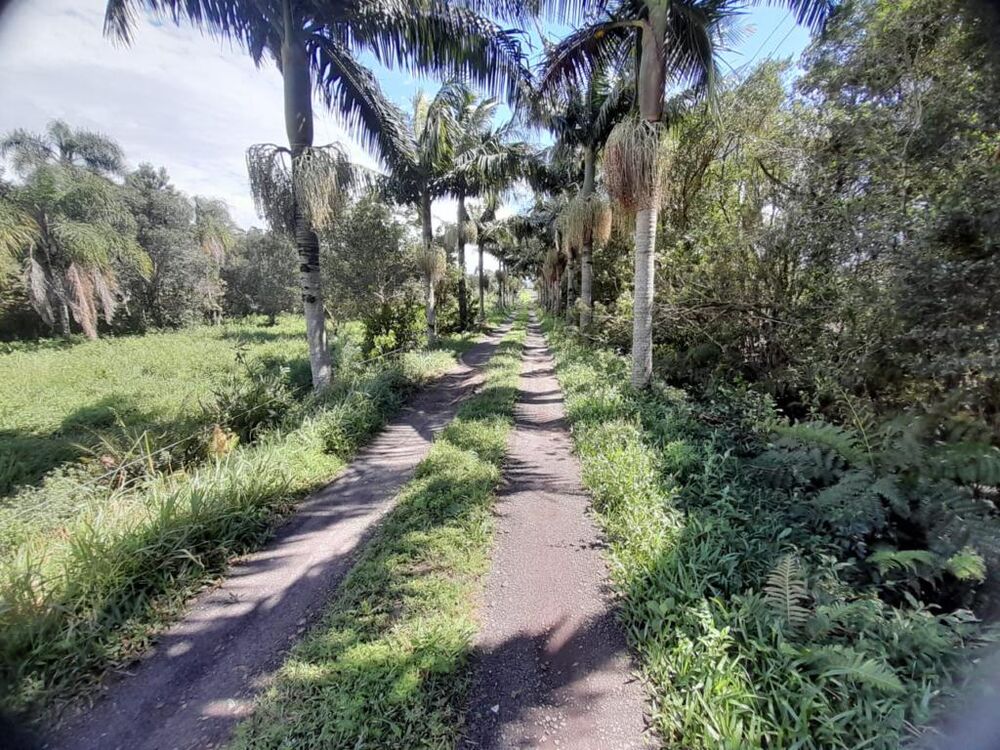 Chácara, 1 quarto, 8730 m² - Foto 5