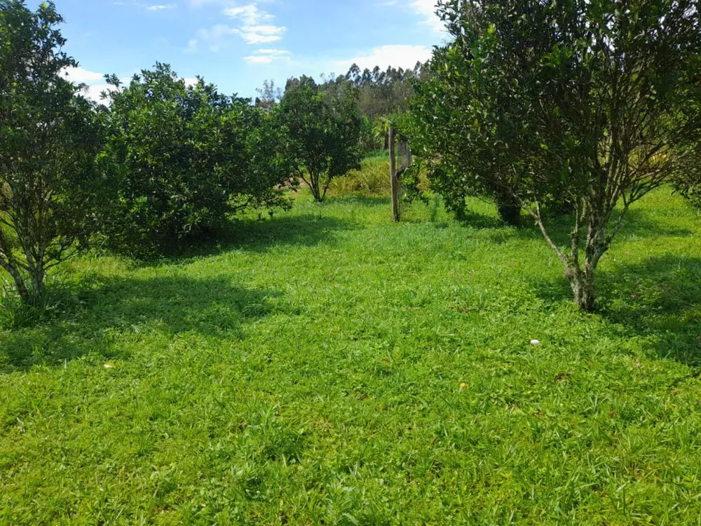 Chácara, 1 quarto, 8730 m² - Foto 4