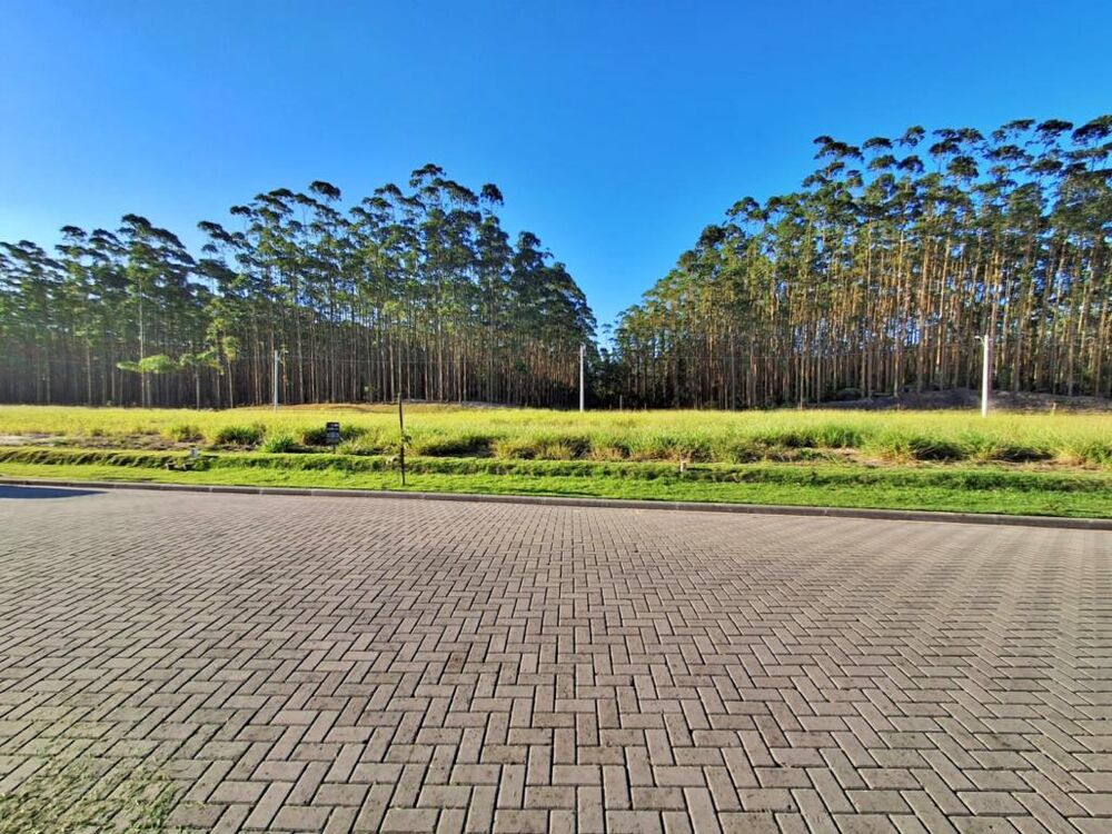 Terreno à venda, 222m² - Foto 4