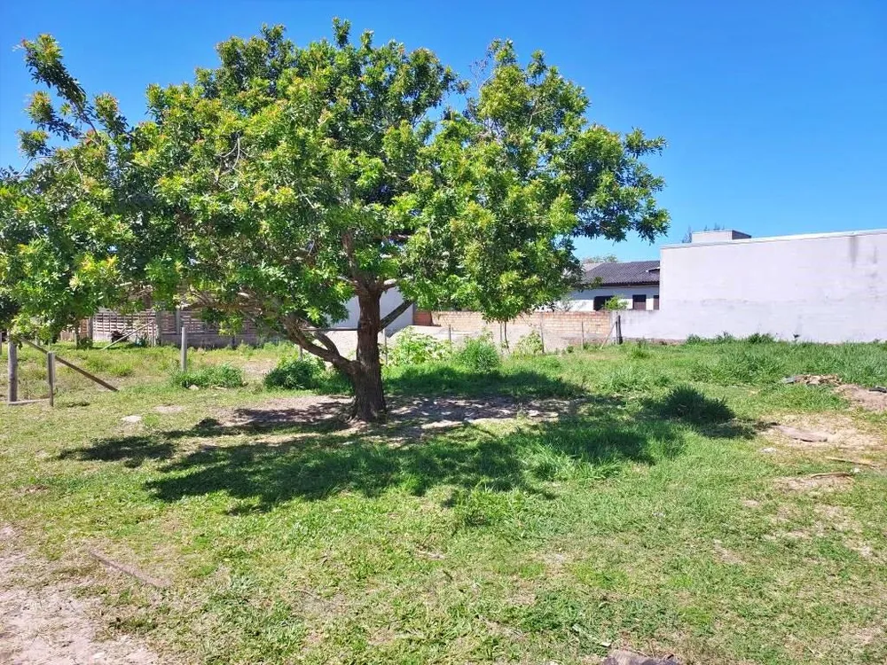 Terreno, 300 m² - Foto 3